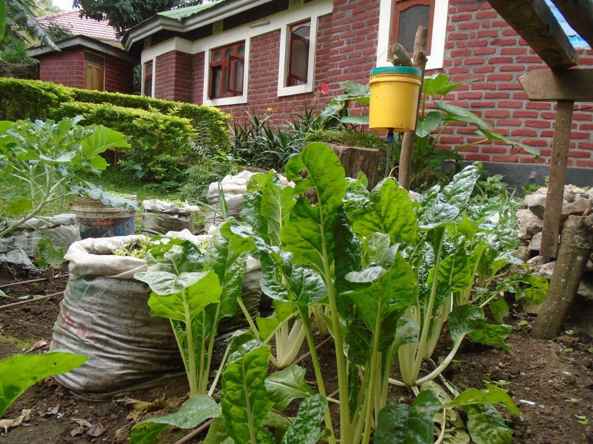 Themi Valley Eco And Cultural Tourism Homestay アルーシャ エクステリア 写真