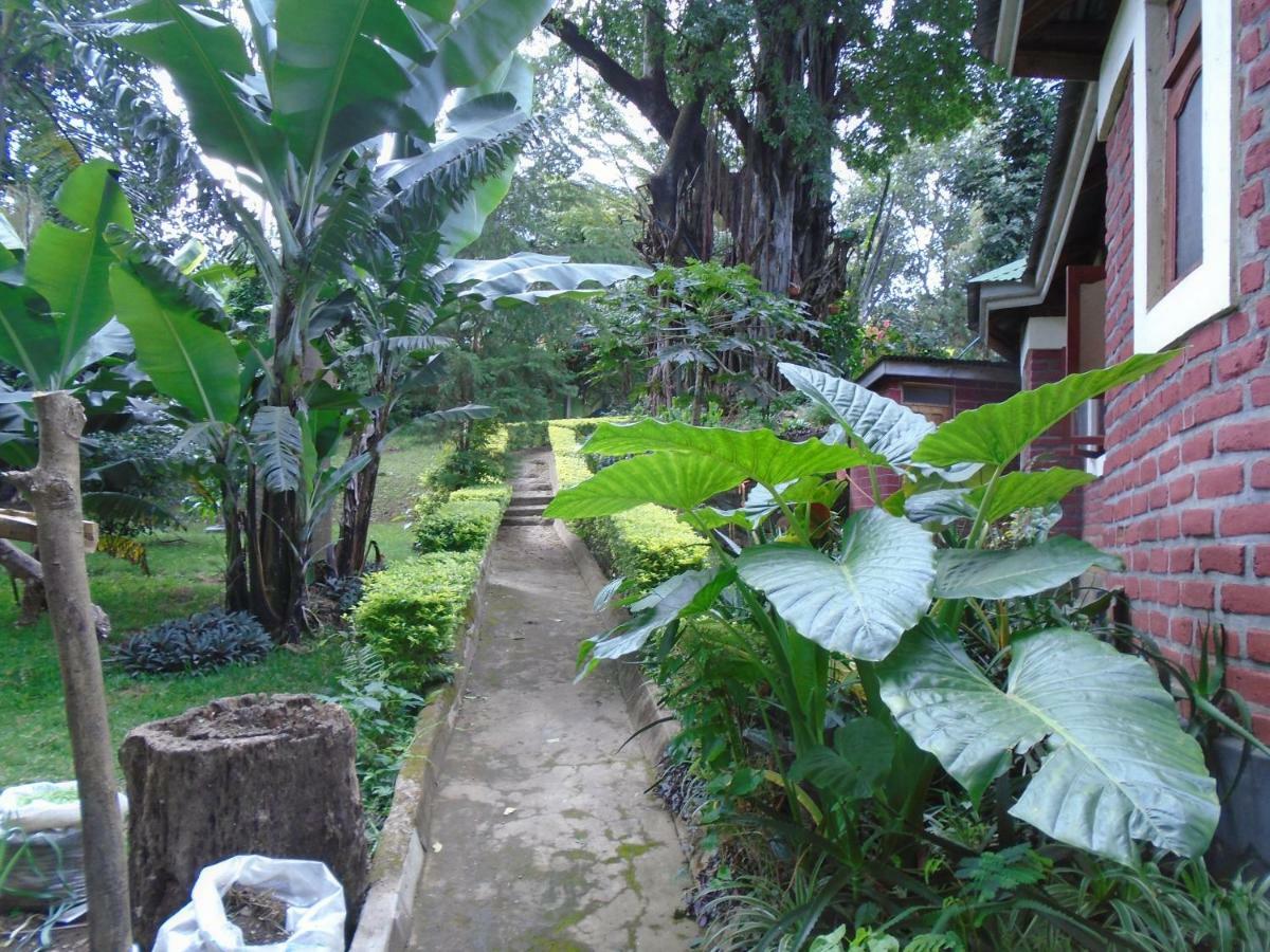 Themi Valley Eco And Cultural Tourism Homestay アルーシャ エクステリア 写真